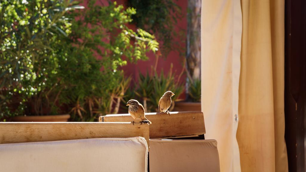 Riad Honey Marrakesh Exterior foto